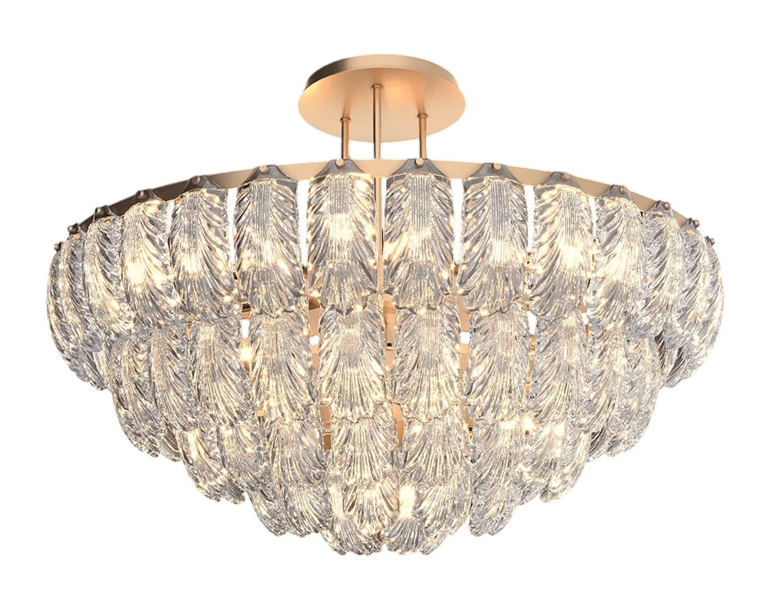 CHARM /BLOSSOM 3801 / CHARM /BLOSSOM 3801