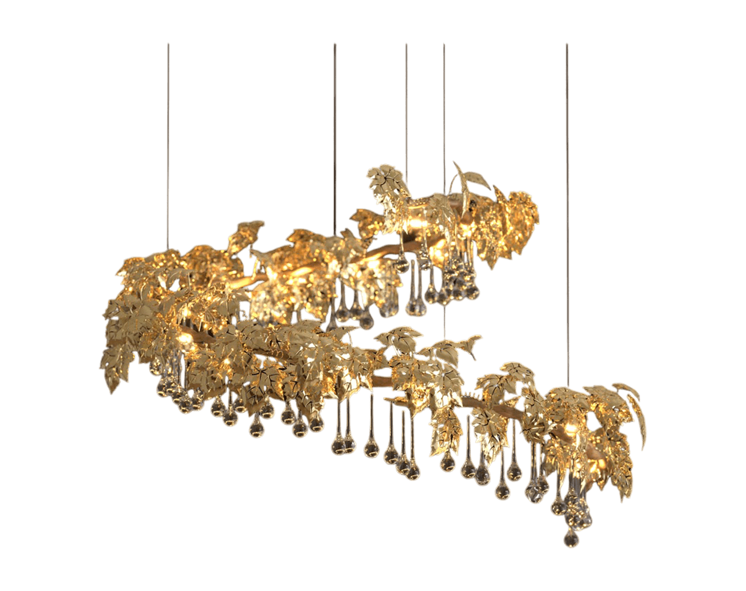 CHARM /  GRAPE 3101 / CHARM /  GRAPE 3101